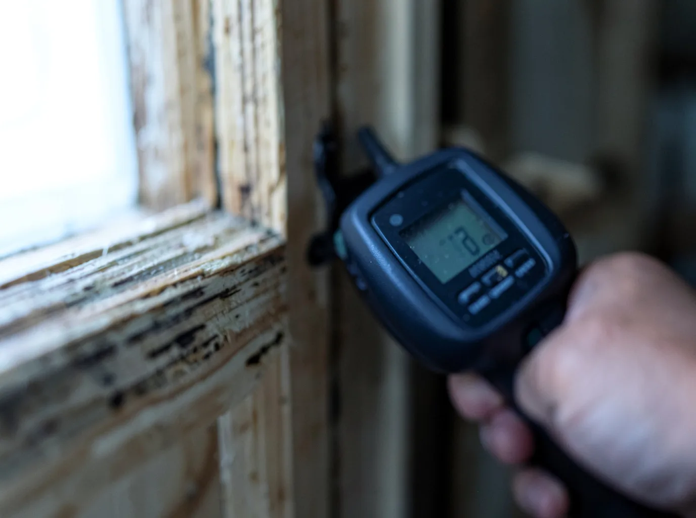 Commercial Water Damage Restoration in Deeth, NV